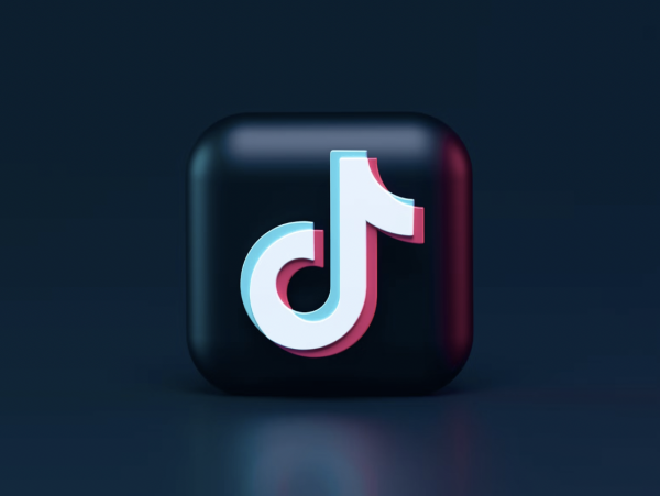 Why Do Governments Hate TikTok?